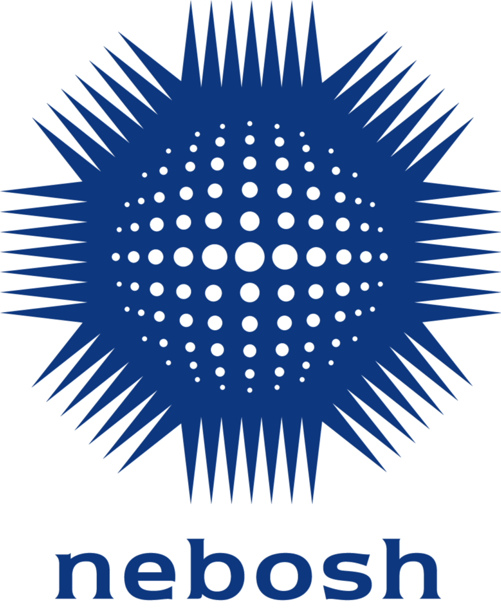 NEBOSH Logo